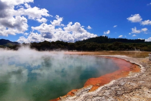 Nuova Zelanda: Tour guidato di 26 giorni dell'Isola del Nord con campeggio