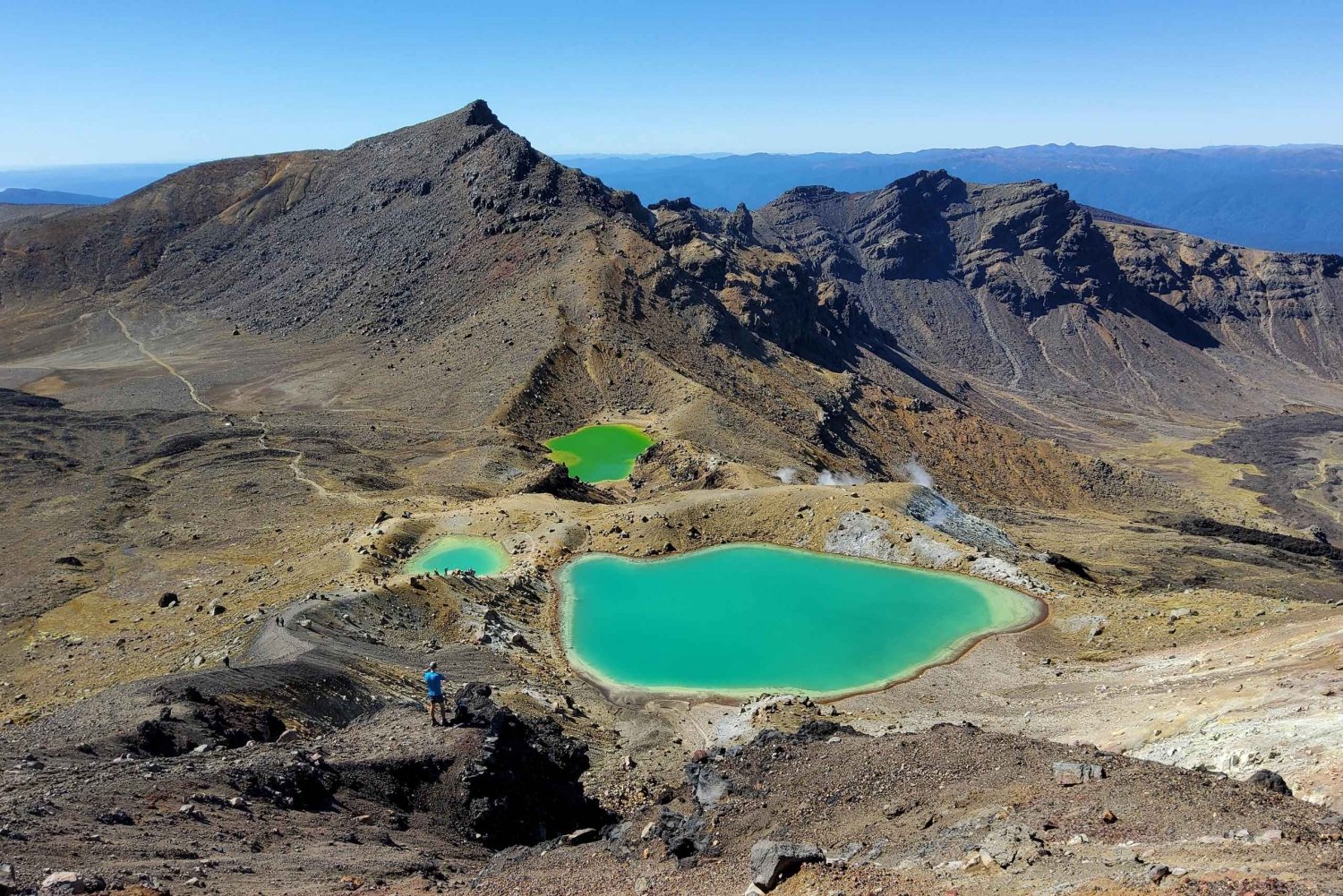 New Zealand: Guidet 43-dages Nordø-tur med camping