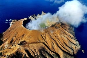 Nuova Zelanda: Tour guidato di 43 giorni dell'Isola del Nord con campeggio