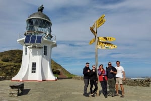 Nuova Zelanda: Tour guidato di 43 giorni dell'Isola del Nord con campeggio