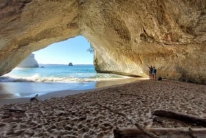 Nuova Zelanda: Tour guidato di 90 giorni delle Isole del Nord e del Sud