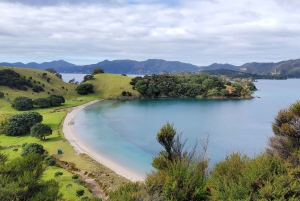 Nuova Zelanda: Tour guidato di 90 giorni delle Isole del Nord e del Sud