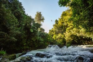 Okere Falls: Zipline over Waterfalls Experience