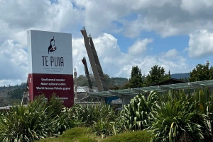 Private Day Trip To Te Puia Rotorua