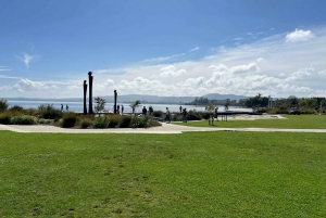 Private Day Trip To Te Puia Rotorua