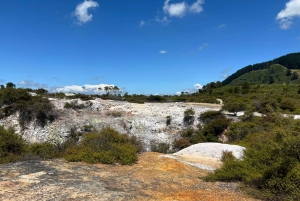 Private Day Trip To Te Puia Rotorua