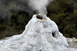 Auckland: Rotorua, Taupo, Waiotapu e cascate Huka Viaggio privato