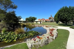 Auckland: Rotorua, Taupo, Waiotapu e cascate Huka Viaggio privato