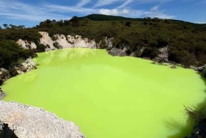 Private Rotorua Tour Waiotapu & Redwoods & Polynesian spa