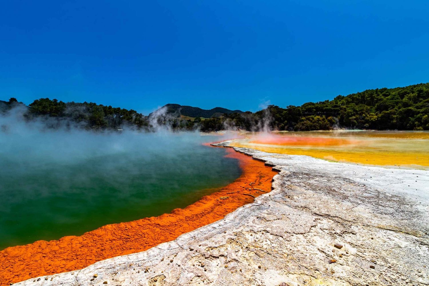 Privat tur: Den stenede Rotorua (fleksibel)