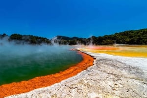 Private Tour: The Rocky Rotorua (Flexible)