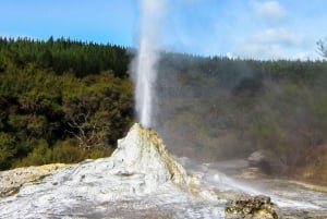 Privat tur: Den steniga Rotorua (Flexibel)