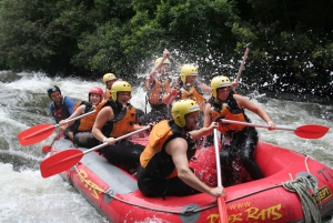Best For Stag & Hens In Rotorua
