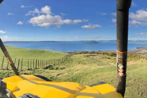 Rotorua: 4×4 Self Drive Buggy Tour through Farm and Bushland