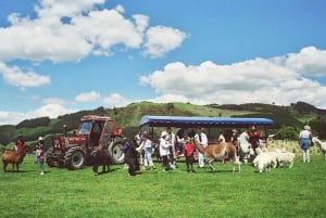 Rotorua: Agrodome Farm Tour with Show and Produce Tasting