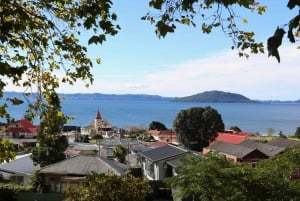 Rotorua City: 1-hour Private Guided Walking Tour