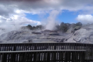 オークランド発：オプション付きロトルア日帰り旅行