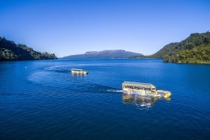 ROTORUA DUCK Amphibious TOUR - групповой однодневный тур из Окленда