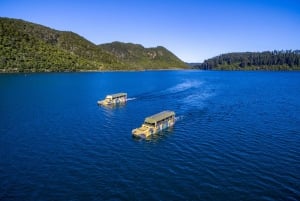 ロトルア ダック 水陸両用ツアー - オークランド発グループ日帰りツアー