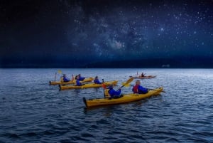 Rotorua: Evening Starlight Gourmet Kayak Tour with dinner