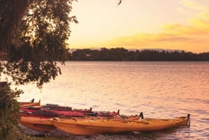 Rotorua: Evening Starlight Gourmet Kayak Tour with dinner