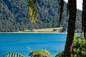 Rotorua: Explore The Lakes Half-Day Morning Tour