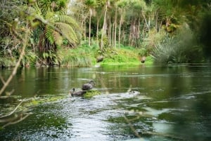 Rotorua: Explore The Lakes Half-Day Morning Tour
