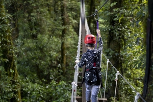 Rotorua Forest 3-Hour Zipline Canopy Tour