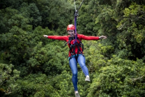 Best Adrenaline Activities In Rotorua