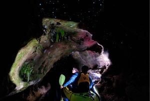 Rotorua: Glow Worm Kayak Tour