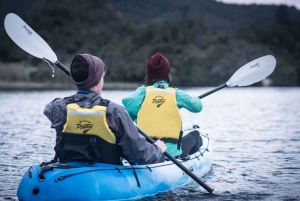 Rotorua: Evening Glow Worm Guided Kayaking Tour