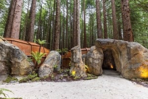Rotorua: jaskinia Glowworm, las sekwoi i Te Puia