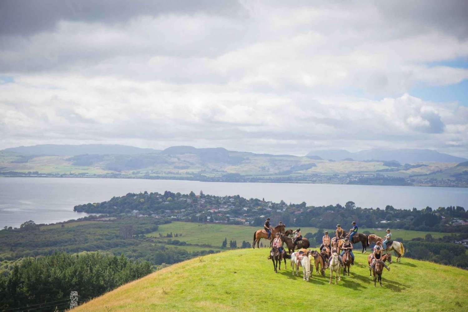 Rotorua: Guided Horseback Riding Day Trip on Mt. Ngongotaha