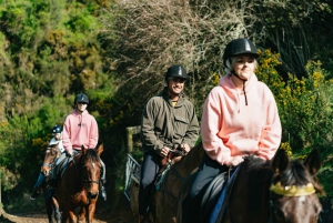 Rotorua: Guided Horseback Riding Day Trip on Mt. Ngongotaha