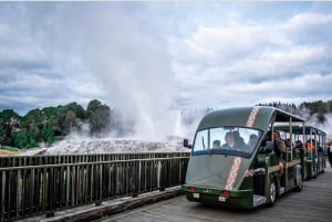 Rotorua: Te Puia Geothermal Valley Guided Tour with Tickets