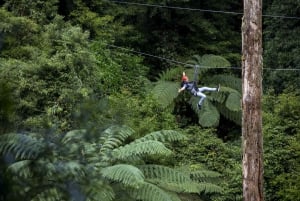 Guided Zipline Adventure Tour with Photos