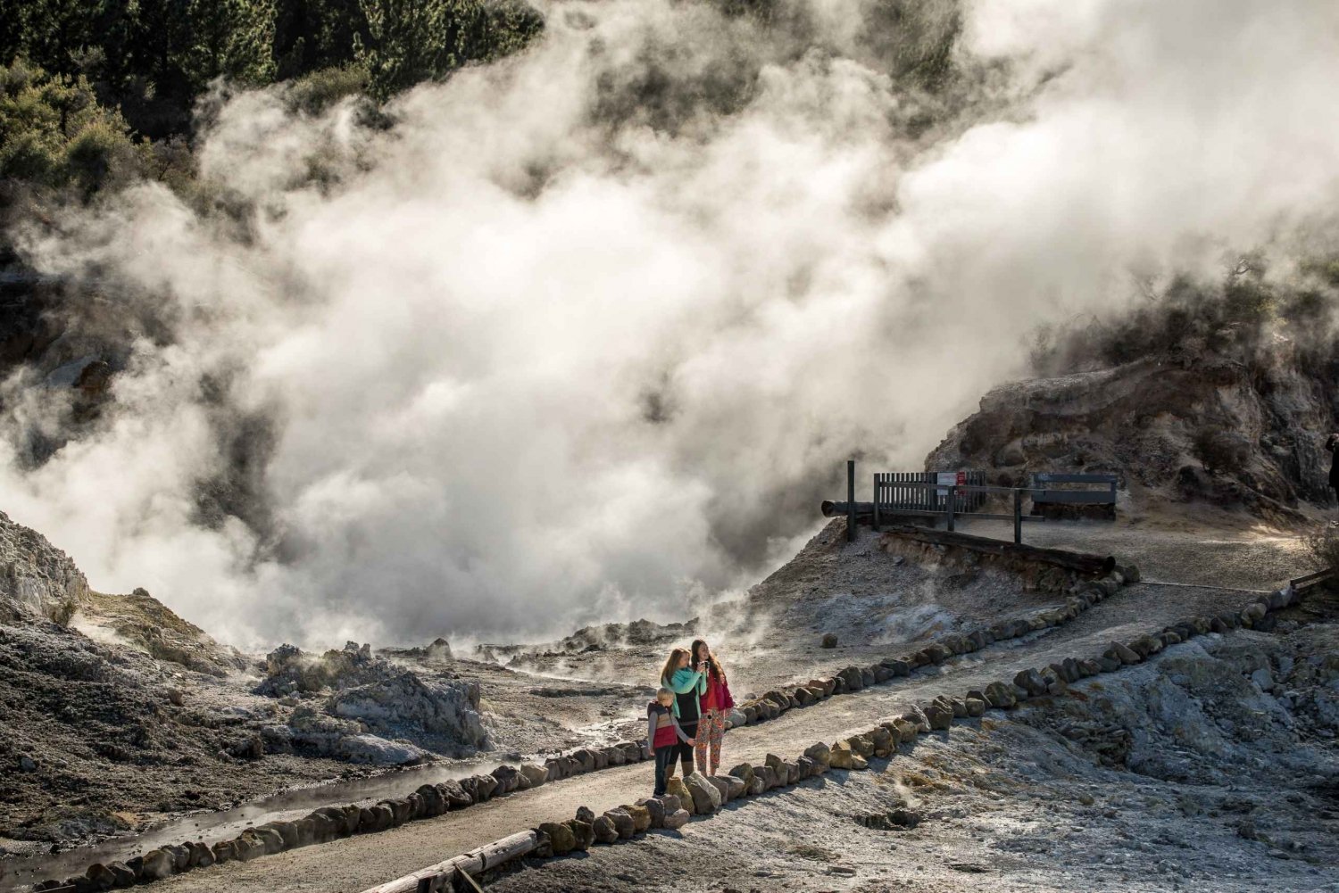 Rotorua: Hell's Gate Geothermal Walk, Mud Bath & Sulphur Spa