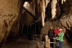 Rotorua: Hobbiton and Waitomo Caves Full-Day Trip