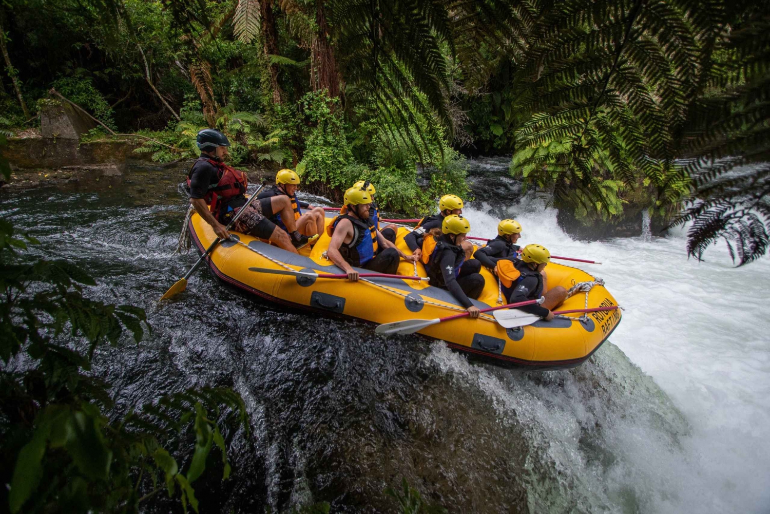 Rotorua: Kaituna River Rafting Experience