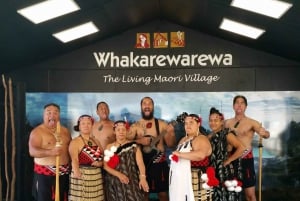 Auckland: Waitomo Glowworms & Te Puia Rotorua med picknicklunch