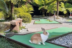 Rotorua: Upplevelse av minigolf