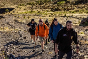 Rotorua: Mount Tarawera Volcanic Crater Half-Day Guided Walk