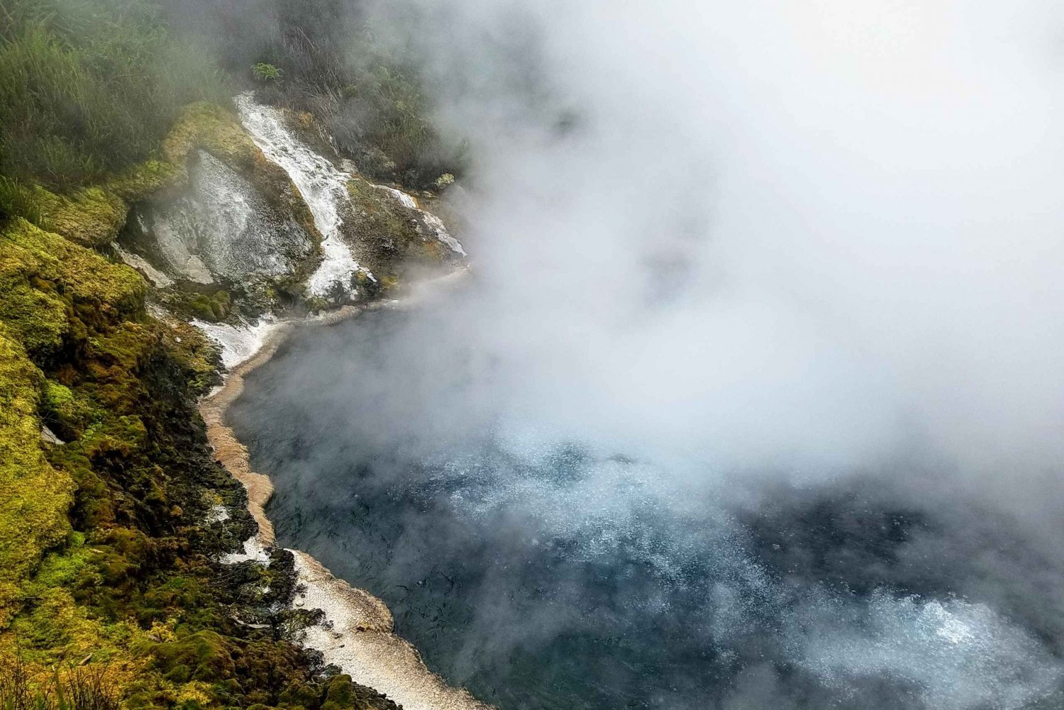 Rotorua: 'Off The Beaten Track' Geothermal Day Tour