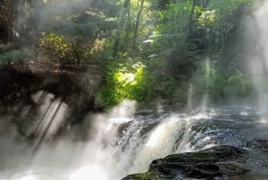 Rotorua: 'Thermal Path Tour' Geotermisk halvdagsutflykt