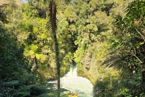 ロトルア：テスラ モデル Y でのプライベート日帰りツアー