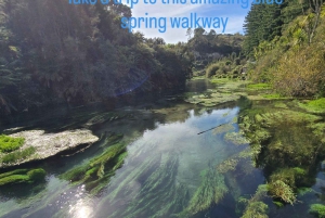 ロトルア：テスラ モデル Y でのプライベート日帰りツアー