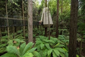 Rotorua: Redwoods Altitude & Day/Night Treewalk Combo