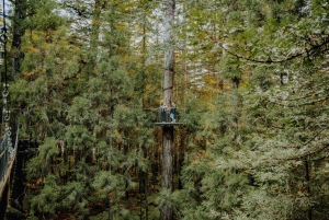 Rotorua: Redwoods Altitude, Fast Pass nattetid och Treewalk