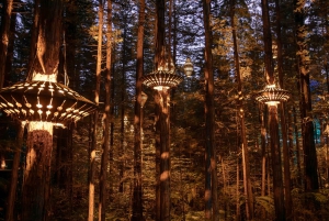 Rotorua: Redwoods Altitude, Fast Pass nattetid och Treewalk