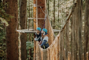 Rotorua: Aventura de Cuerdas Altas en la Altitud de Redwoods